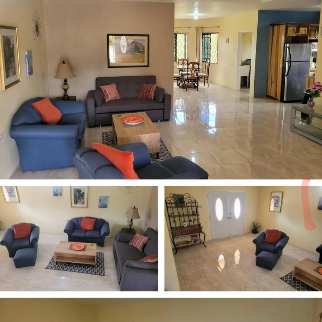 Dw Apartments With Garage And Hot Tub Mandeville