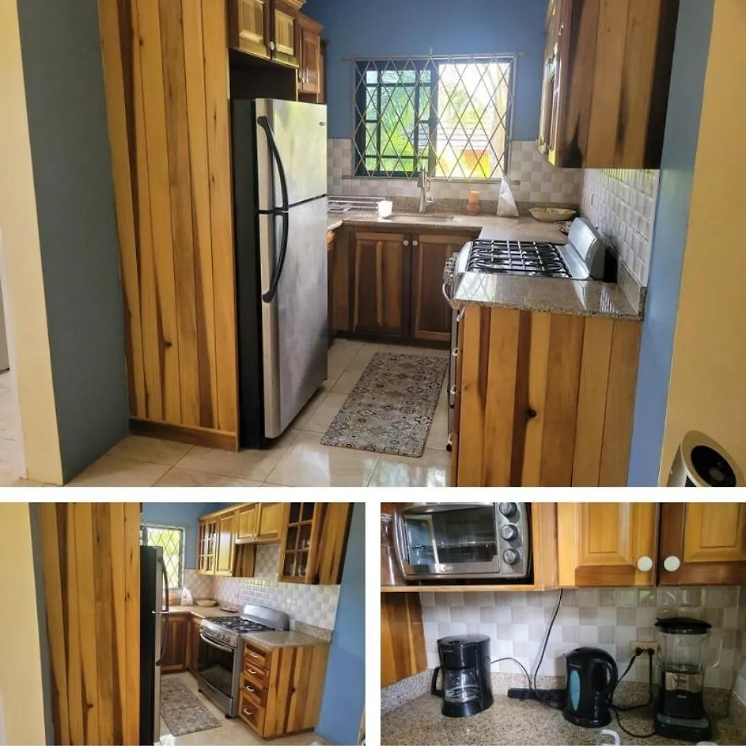 Dw Apartments With Garage And Hot Tub Mandeville